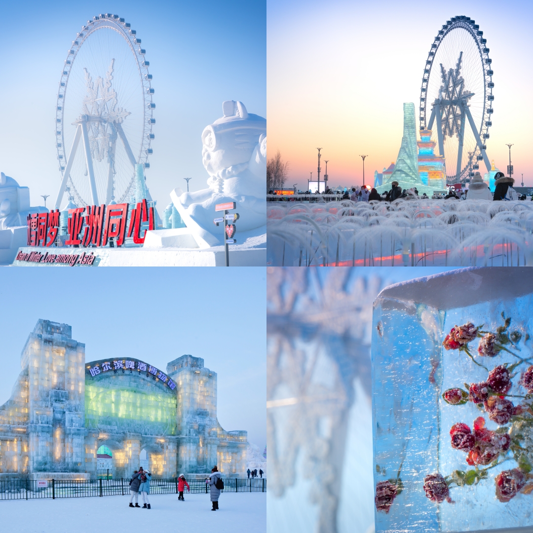 ทัวร์ฮาร์บิน Harbin Ice and Snow Festival 2026 เมืองน้ำแข็งระดับโลก ประเทศจีน