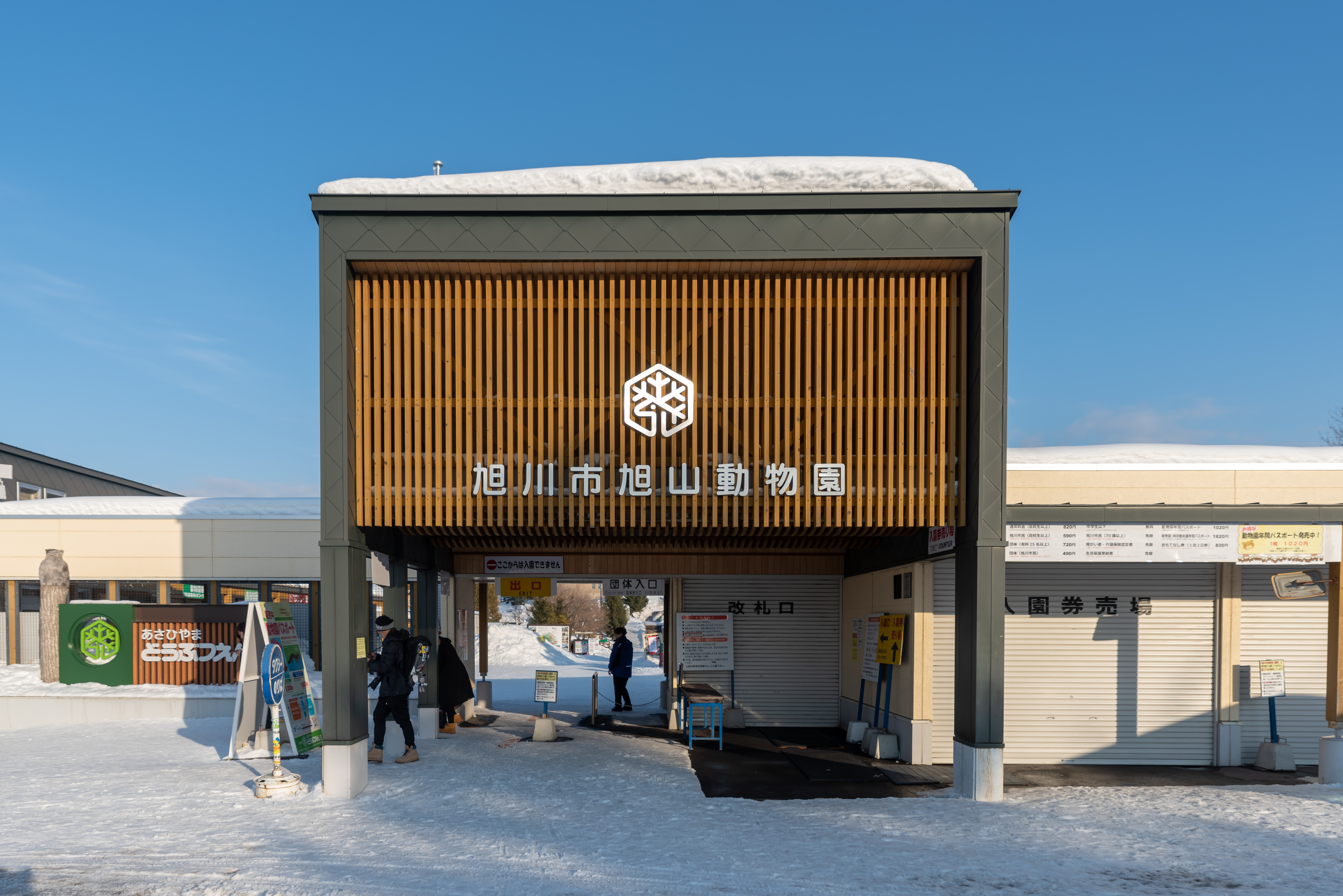 เพนกวินพาเหรด Penguin Parade ที่ Asahiyama Zoo ฮอกไกโด ญี่ปุ่น